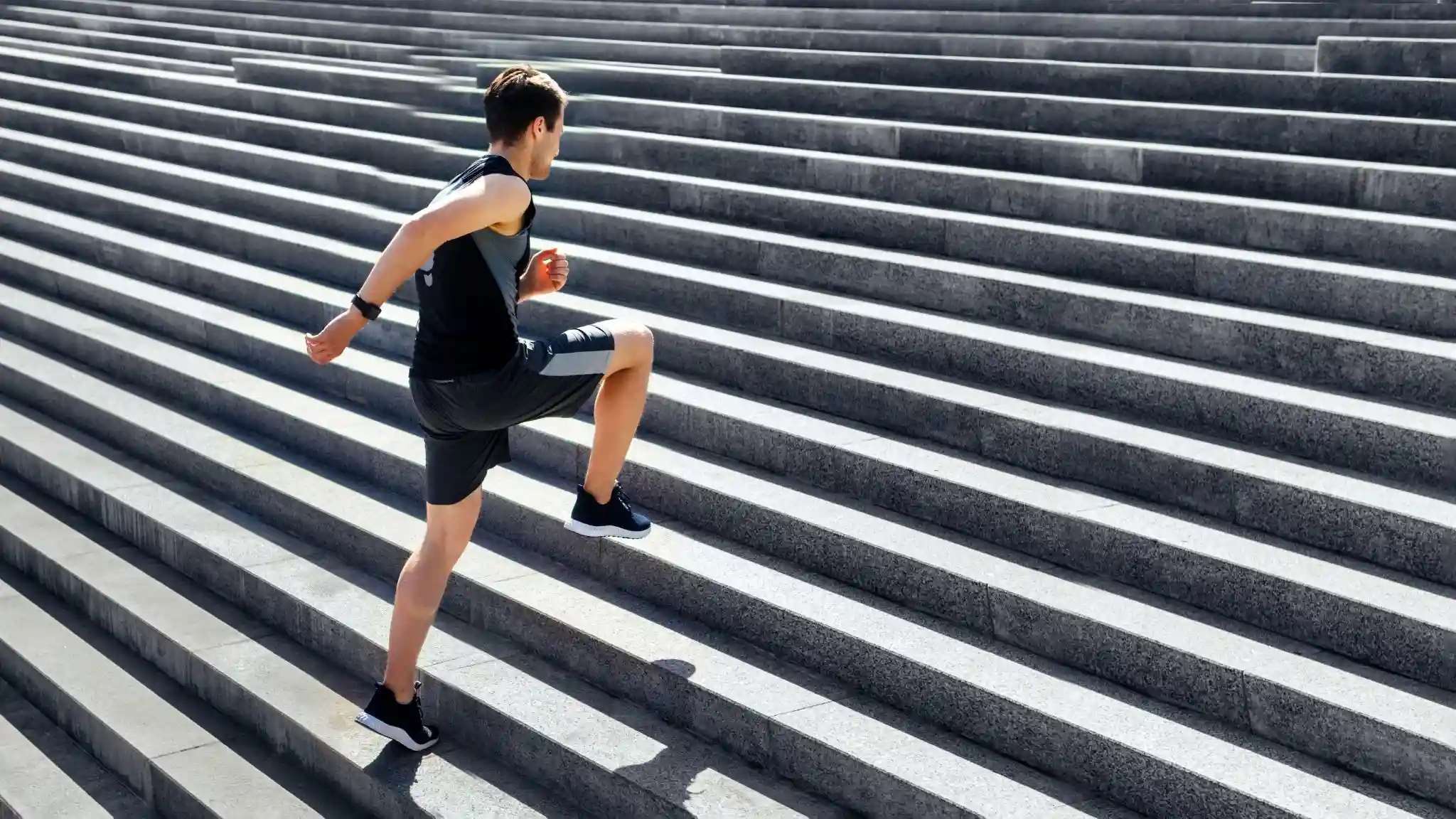 tailored fitness workouts